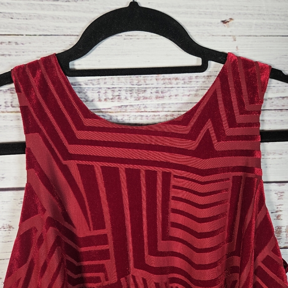 NWT Anthro Sunday in Brooklyn velvet swing tank top - Picture 5 of 14